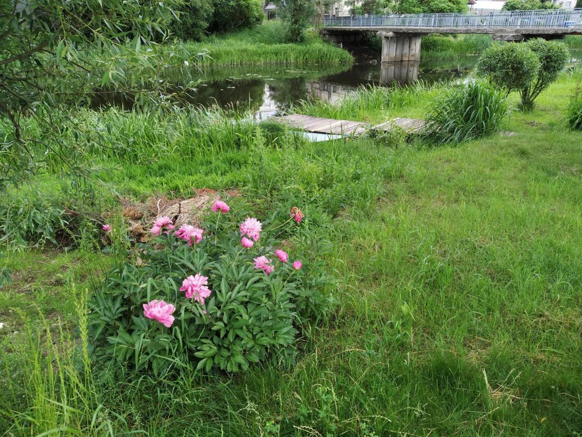 River Side Studio, 9Mi From Palanga, With Sauna Villa Kretinga Luaran gambar
